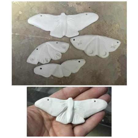 Porcelain moths